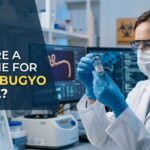 Bundibugyo Ebola